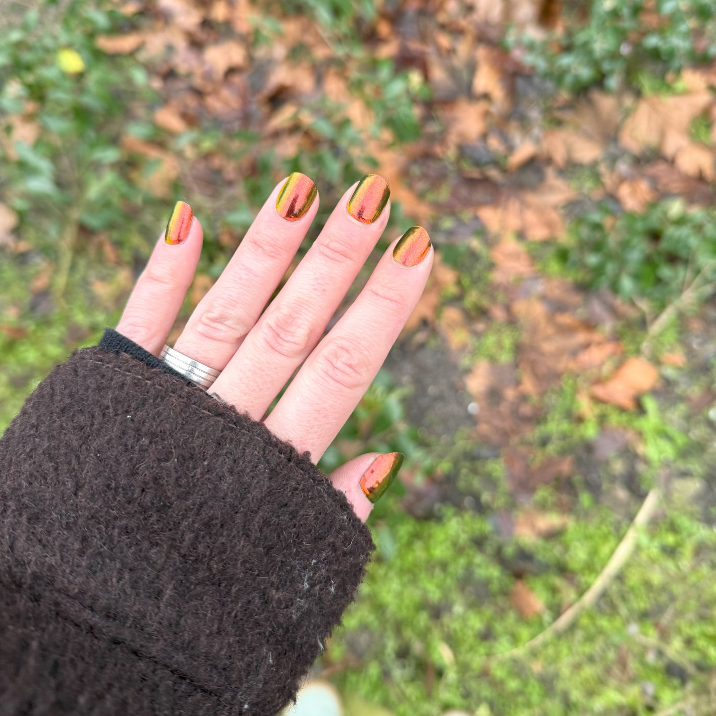 Autumn Chameleon | Gel nagelstickers