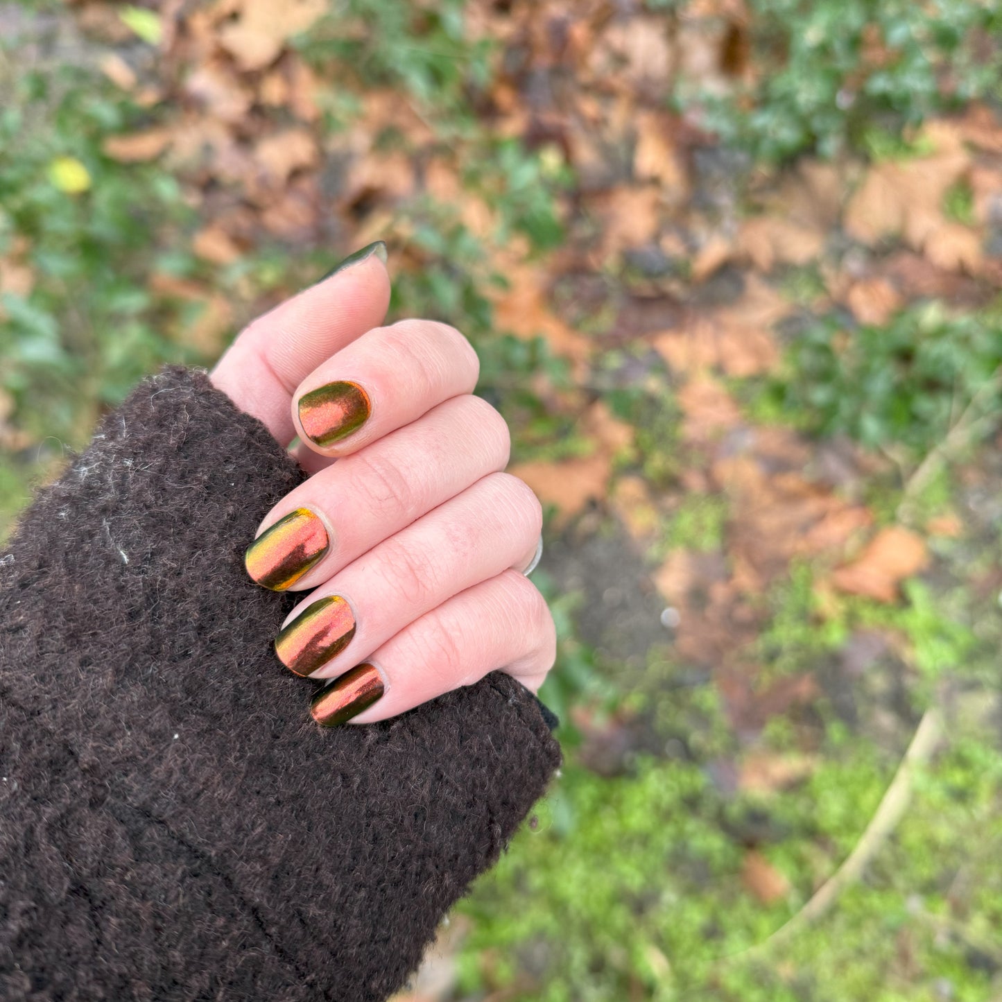 Autumn Chameleon | Gel nagelstickers