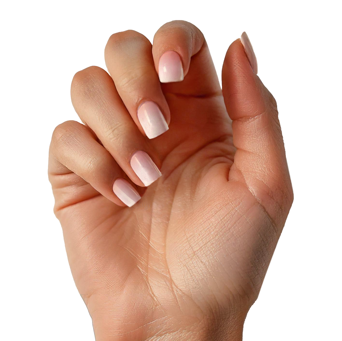 Neutral Bundel | Gel nagelstickers