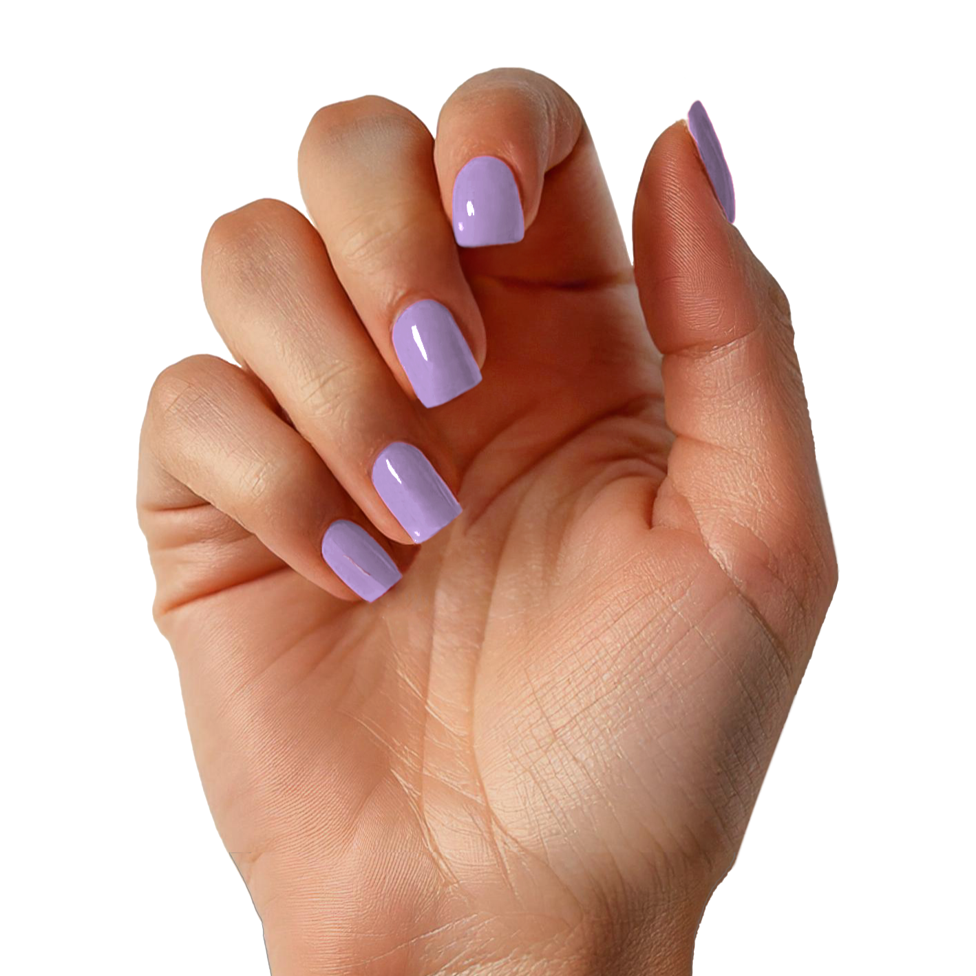 Lilac Lush | Gel nagelstickers